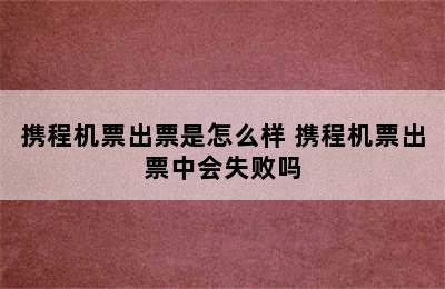 携程机票出票是怎么样 携程机票出票中会失败吗